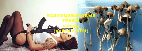 ALPHA-PVP Алексин