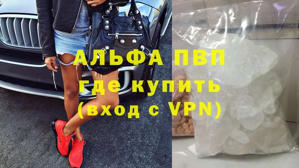 стафф Алзамай