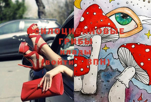 кокс Алексеевка
