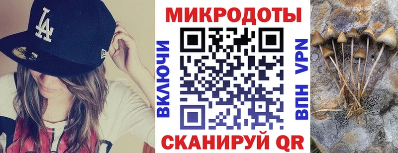 Галлюциногенные грибы Psilocybine cubensis Красноярск