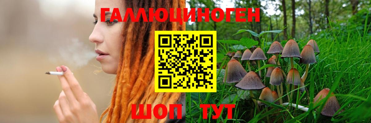 Галлюциногенные грибы Psilocybine cubensis  Вход с VPN  Красноярск 